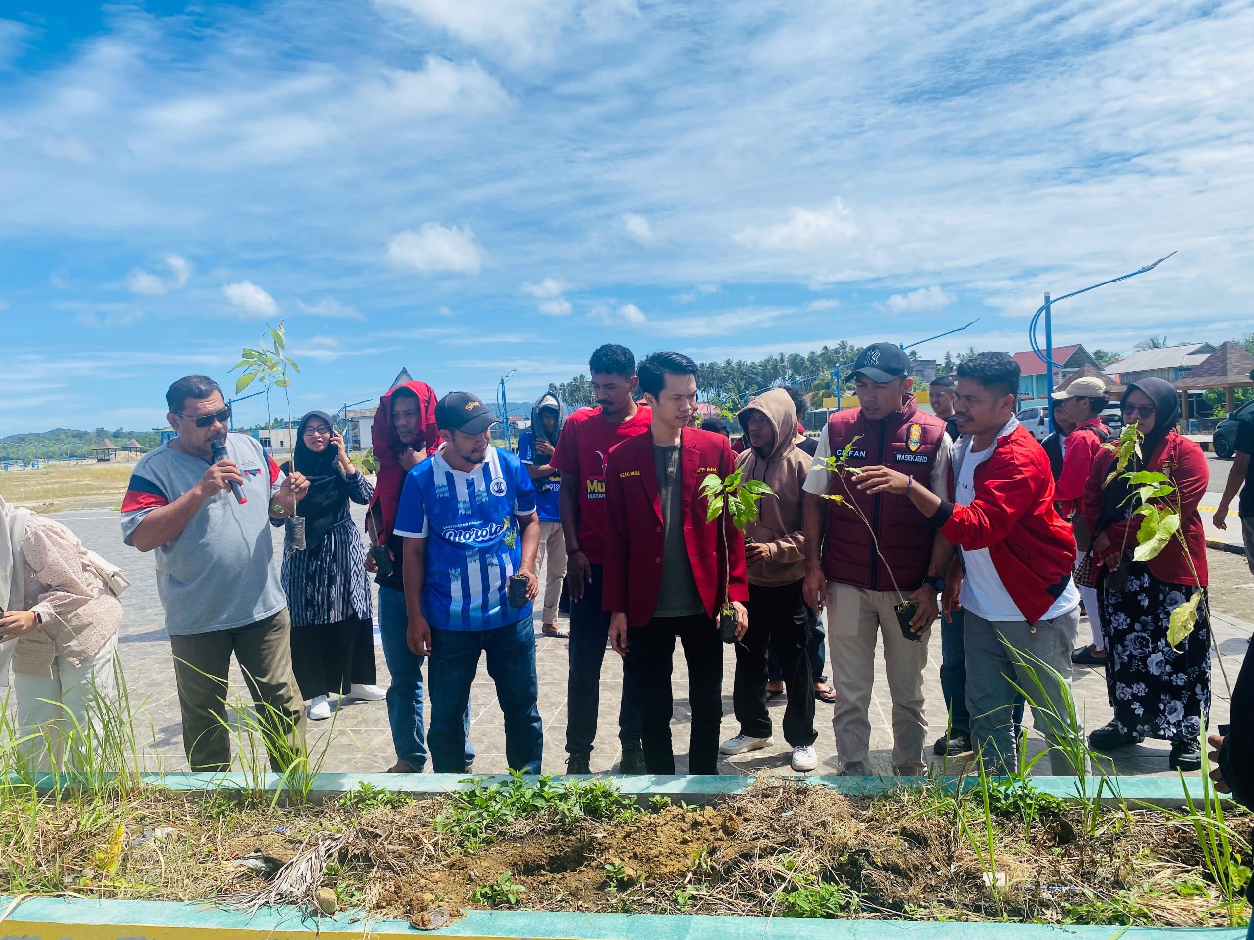 Suasana penanaman pohon di Pulau Morotai